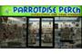 Parrotdise Perch logo