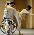 DSA Royal International Taekwondo (ITF) image 6