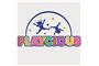 Playcious logo