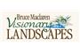 Bruce Maclaren Visionary Landscapes Aurora logo