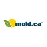Mold Removal Toronto image 1