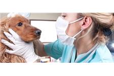Edmonton Veterinary Clinic image 1