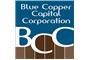 Blue Copper Capital logo