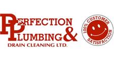 Perfection Plumbing & Drain Cleaning Ltd. image 1