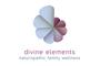 Divine Elements Health Centre logo