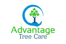 Advantage Tree Care image 1