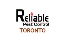 Pest Control Whitby image 1