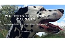 Walking The dogs Calgary image 1