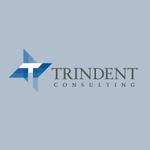 Trindent Management Consulting Inc. image 1