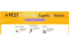 Pest Control in Toronto image 4