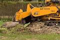 - Got Stump? - Stump Grinding / Stump Removal St. Albert, Alberta image 6