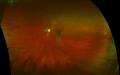 20/20 Vision Care image 2