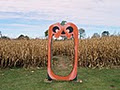A Maze in Corn logo