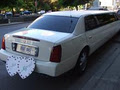 ATRIUM EXECUTIVE LIMOUSINE image 3
