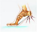 Abbott Foot and Ankle Clinic image 5
