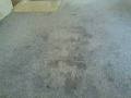 Absolutely Brilliant Carpet Cleaning image 4