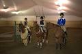 Académie Equestre de Waterloo image 6