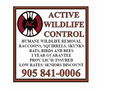 Active Wildlife Control image 3