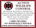 Active Wildlife Control image 4