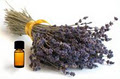 Adoressence Aromatherapy logo