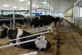Advanced Dairy Systems image 2