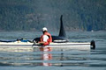 Adventures Wild Heart Sea Kayaking Tours image 3