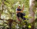 Alberta Arborists image 4