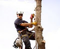 Alberta Arborists image 1