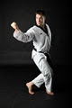 All Star Martial Arts World image 6