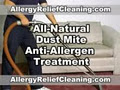 Allergy Relief Cleaning Services, Mississauga Carpet Cleaners logo