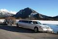 Alpine Limousine & Tours image 3