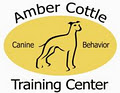 Amber Cottle Canine Training image 4