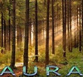 Aura Total Image logo