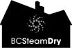 B C Steam Dry image 3
