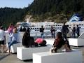 BC Ferries image 3