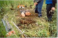 BCIA - BC Institute of Agrologists image 3