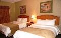 Best Western Grande Prairie Hotel & Suites image 3