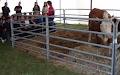 Binbrook Agricultural Society image 3