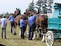 Binbrook Agricultural Society image 4