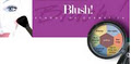 Blush School of Cosmetics image 2