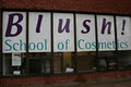 Blush School of Cosmetics logo