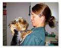 Bowen Veterinary Services image 5
