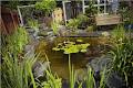 Bowering Ponds & Gardens Ltd image 4