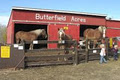 Butterfield Acres Children's Farm image 2