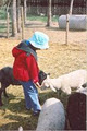 Butterfield Acres Children's Farm image 3