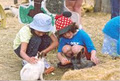 Butterfield Acres Children's Farm image 4