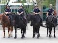 Calgary Police Service image 6