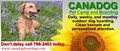 Canadog Pet Camp & Boarding image 2