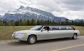 Canmore Limousine & Tours image 5