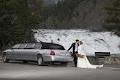Canmore Limousine & Tours image 1